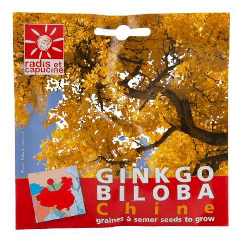 Sjemenke Ginkgo Biloba