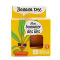 SET - Posuda za uzgoj Banane, za djecu