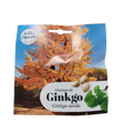 Sjemenke Ginkgo Biloba
