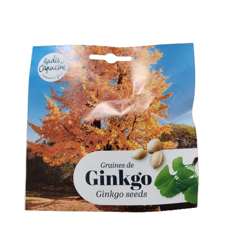 Sjemenke Ginkgo Biloba